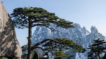 来黄山旅游有什么地方需要注意？